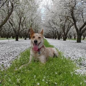 Meet your Posher, Christa